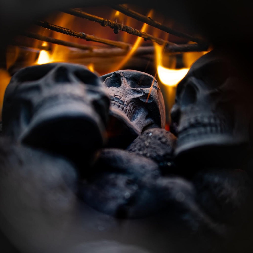 Skull charcoal - charbon tete de mort